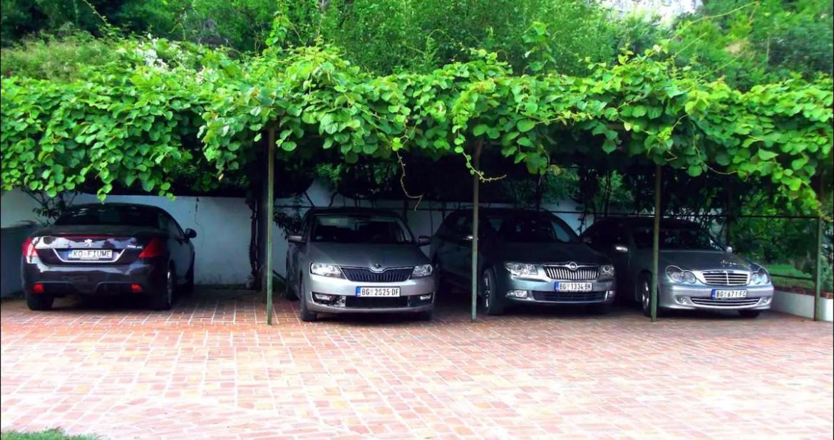 Carine Garden Apartment Risan Exterior photo