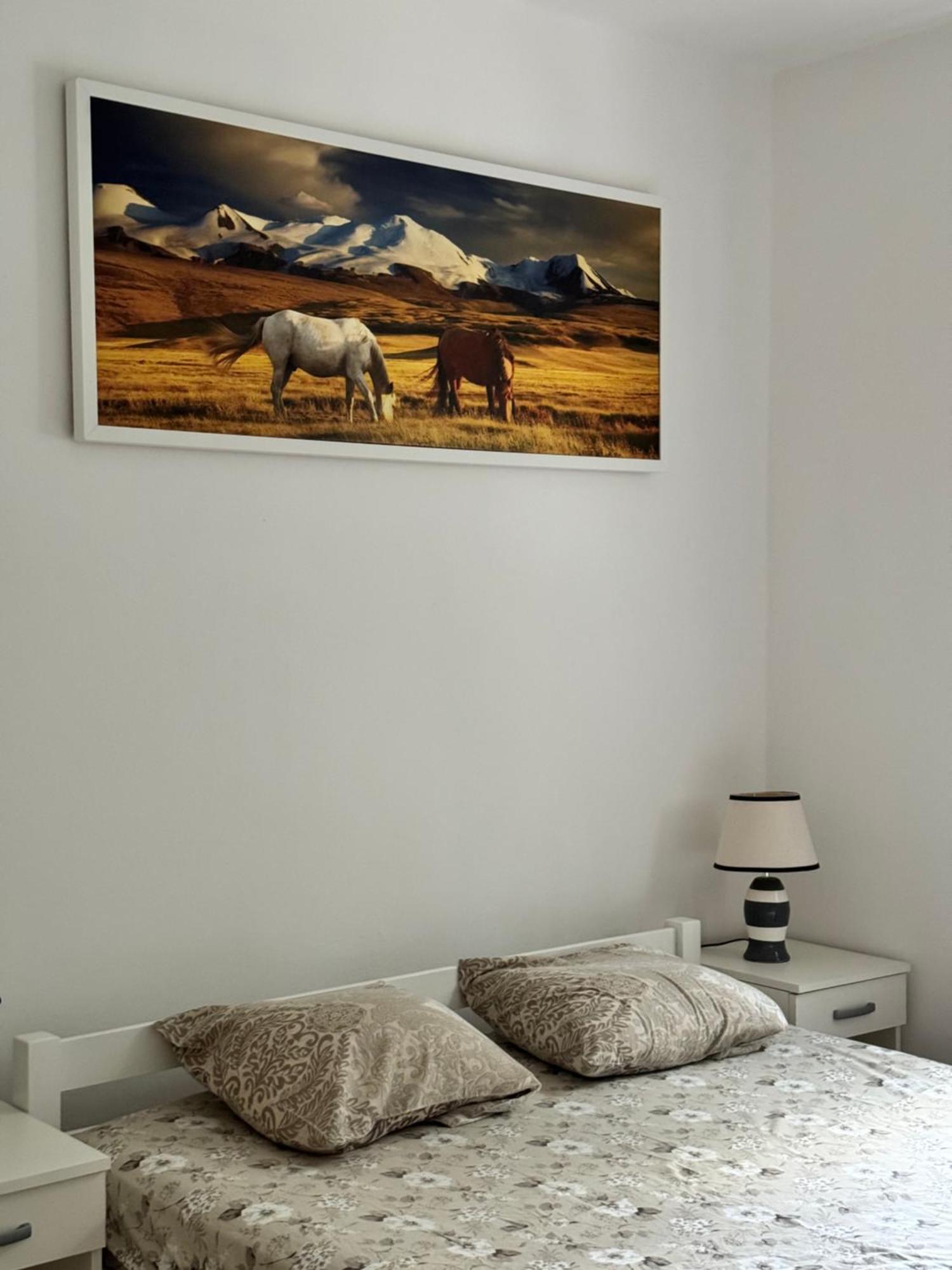 Carine Garden Apartment Risan Exterior photo
